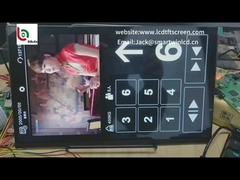 Custom Transparent 4.3 TFT LCD Display , 480 * 272 Dot TFT Color Screen